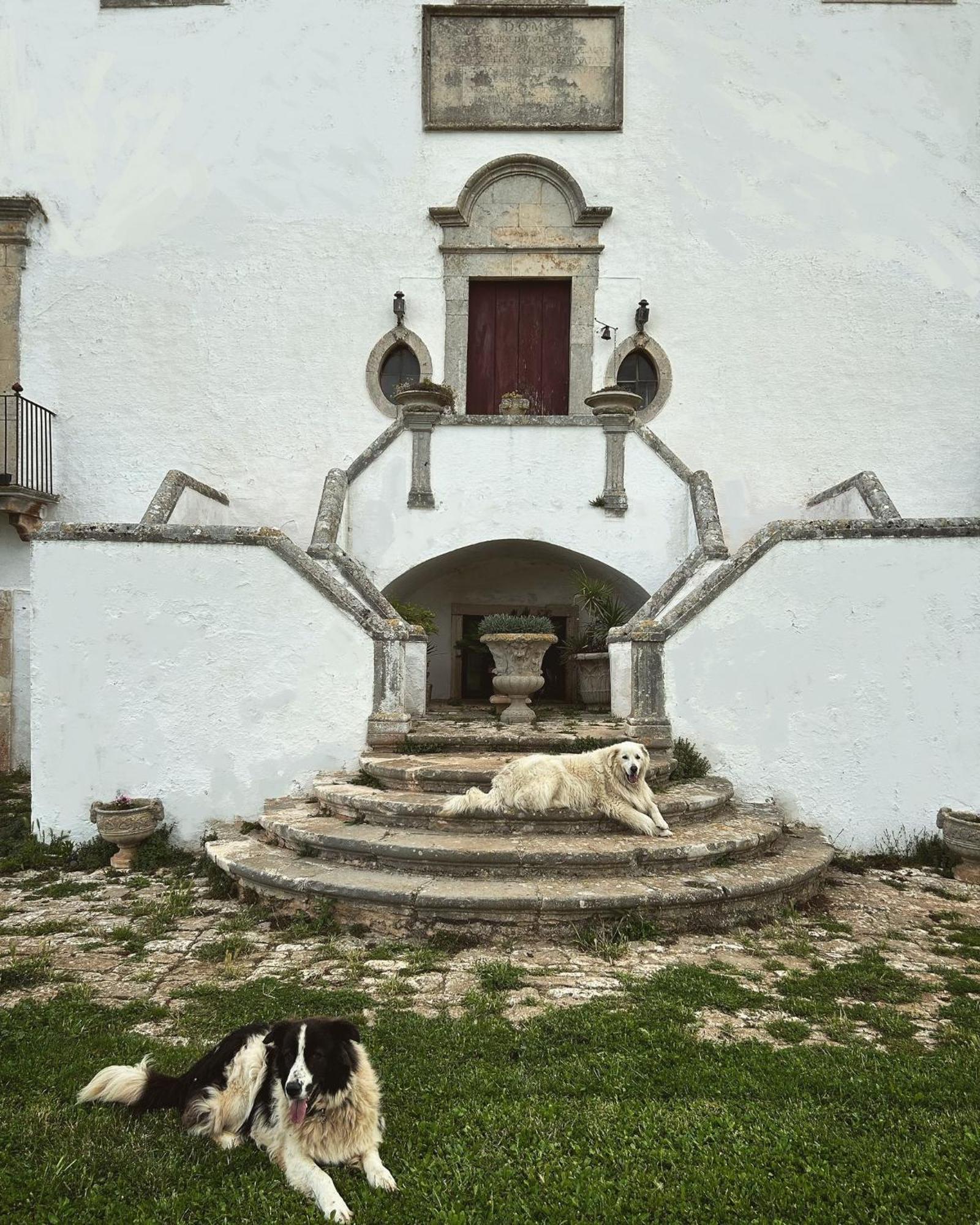 Masseria Murgia Albanese Noci Exteriér fotografie