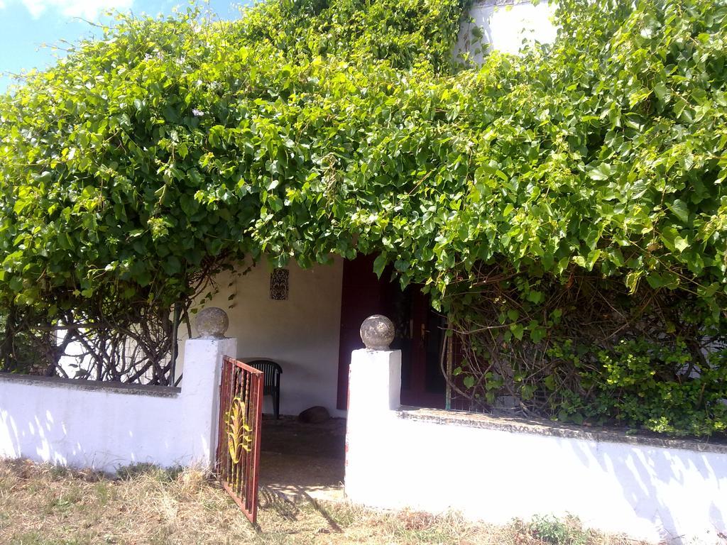 Masseria Murgia Albanese Noci Exteriér fotografie